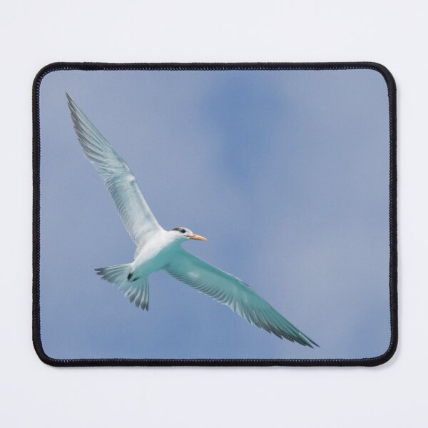 Item preview, Royal Tern designed and sold by LaurenTucker.