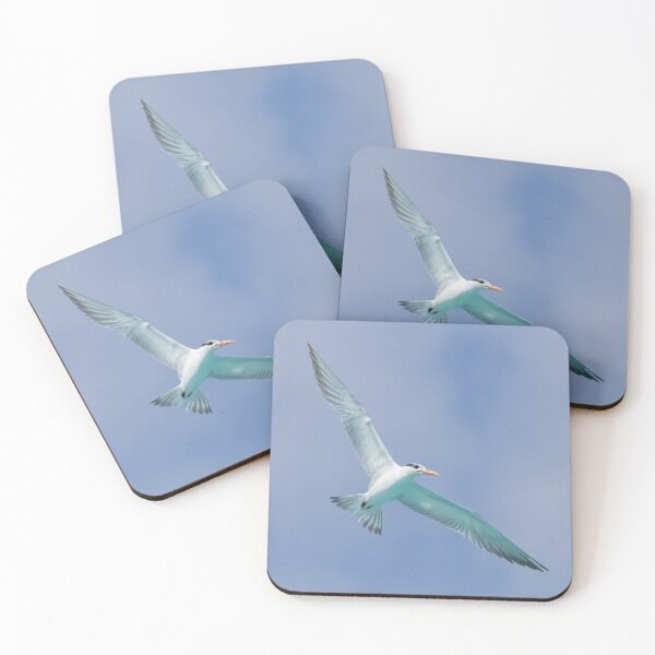 Item preview, Royal Tern designed and sold by LaurenTucker.