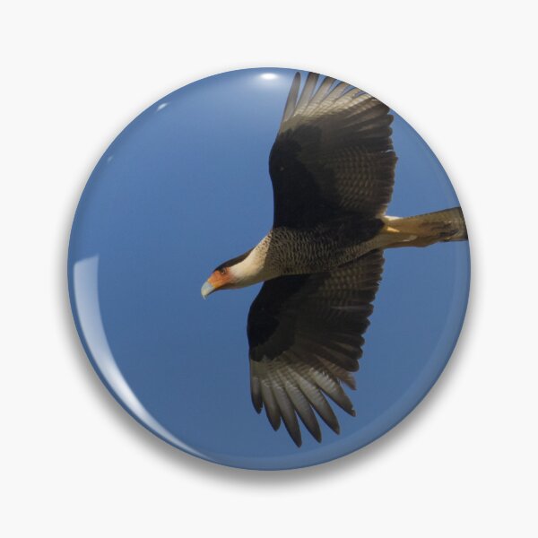 Item preview, Crested Caracara designed and sold by LaurenTucker.