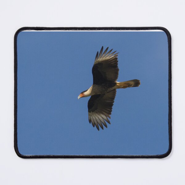 Item preview, Crested Caracara designed and sold by LaurenTucker.