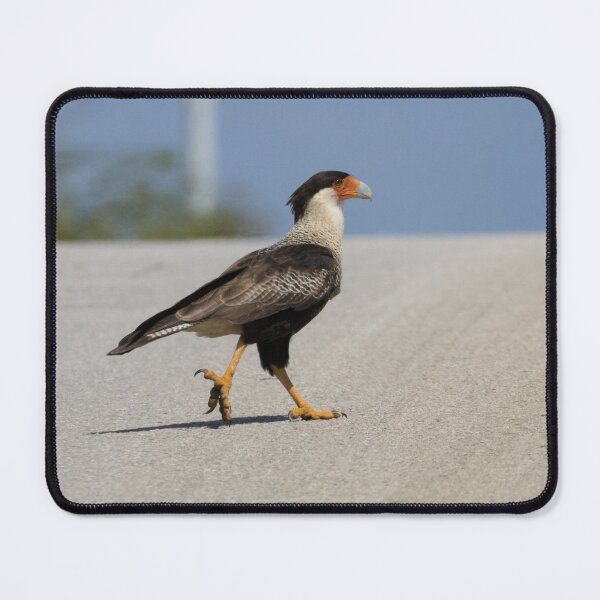 Item preview, Crested Caracara designed and sold by LaurenTucker.