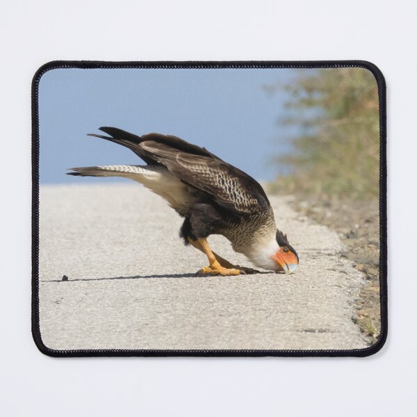 Item preview, Crested Caracara designed and sold by LaurenTucker.