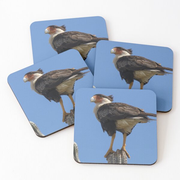 Item preview, Crested Caracara designed and sold by LaurenTucker.