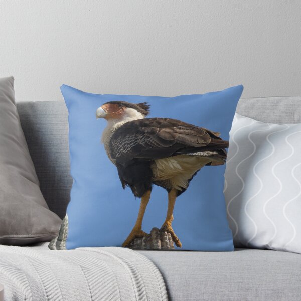 Item preview, Crested Caracara designed and sold by LaurenTucker.