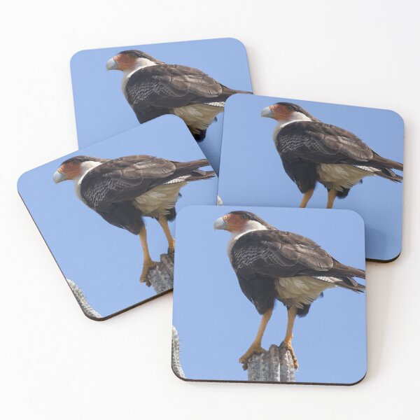 Item preview, Crested Caracara designed and sold by LaurenTucker.