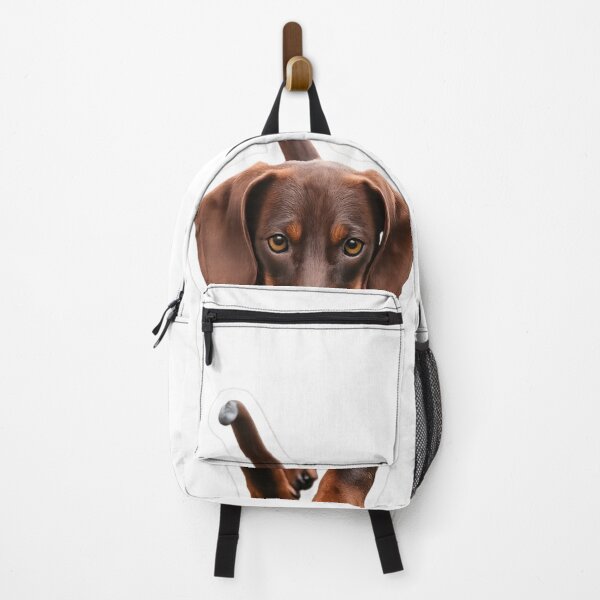 Item preview, Dachshund Emi #4 Looking straight at you! designed and sold by Abi & Emi Core.