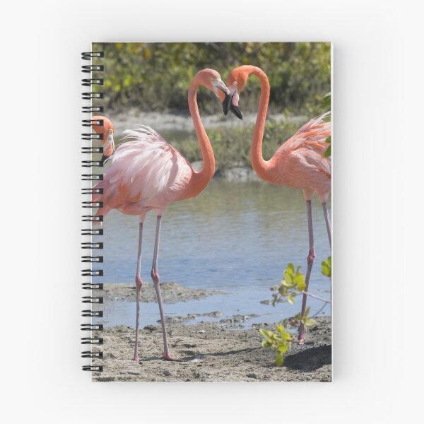 Item preview, American Flamingo designed and sold by LaurenTucker.