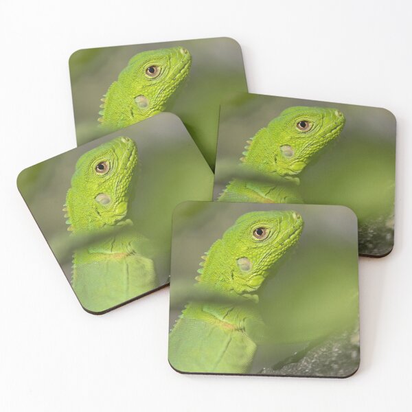 Item preview, Green Iguana - Iguana iguana designed and sold by LaurenTucker.