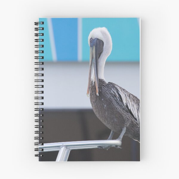 Item preview, Brown Pelican designed and sold by LaurenTucker.