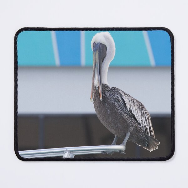 Item preview, Brown Pelican designed and sold by LaurenTucker.