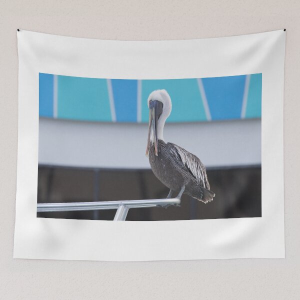 Item preview, Brown Pelican designed and sold by LaurenTucker.