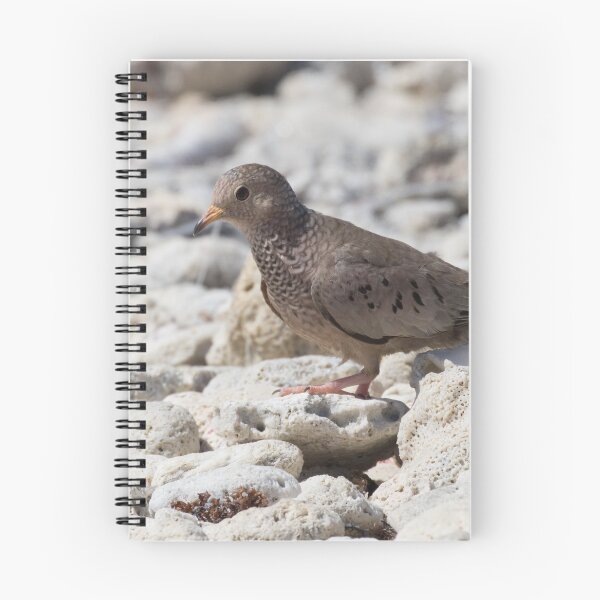 Item preview, Common Ground Dove designed and sold by LaurenTucker.
