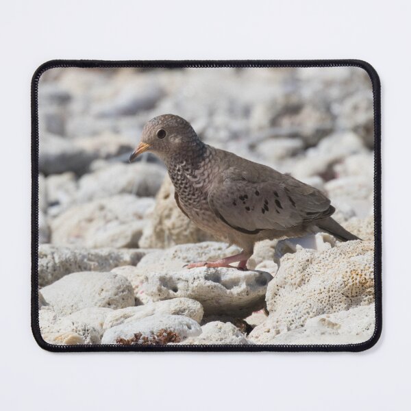 Item preview, Common Ground Dove designed and sold by LaurenTucker.