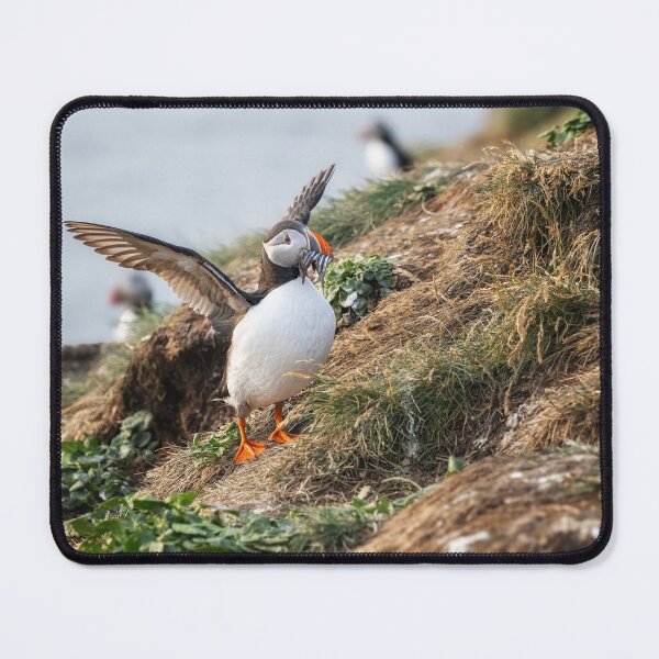 Item preview, Puffin Landing on Rocky Cliff designed and sold by PhotoArt by Joan Carroll.