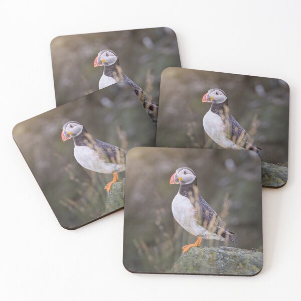 Item preview, Solitary Atlantic Puffin on a Rock designed and sold by PhotoArt by Joan Carroll.