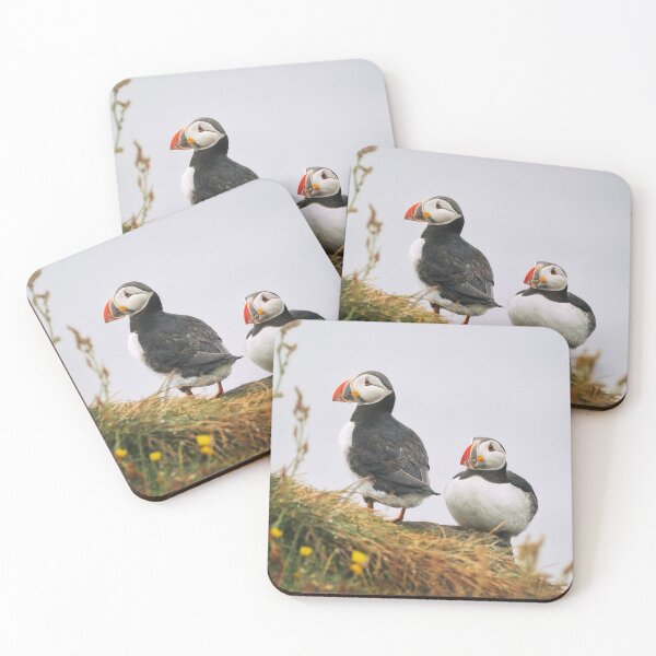 Item preview, Two Atlantic Puffins In Iceland designed and sold by PhotoArt by Joan Carroll.