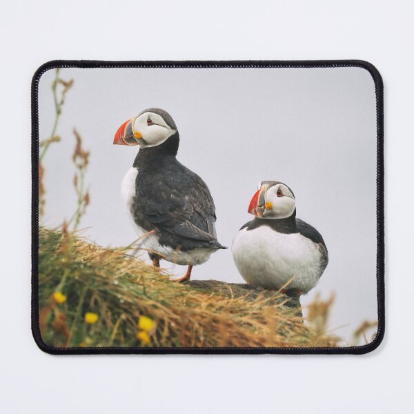 Item preview, Two Atlantic Puffins In Iceland designed and sold by PhotoArt by Joan Carroll.