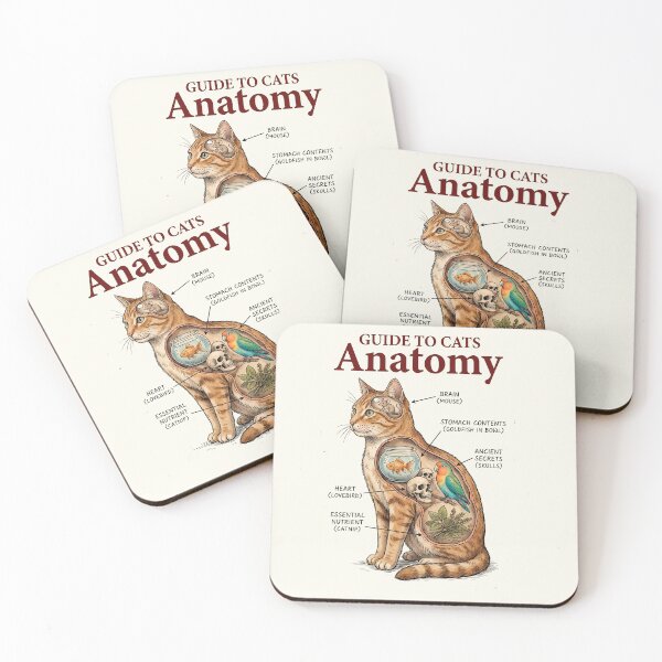 Item preview, Cat Anatomy designed and sold by TheSamuraiCat.