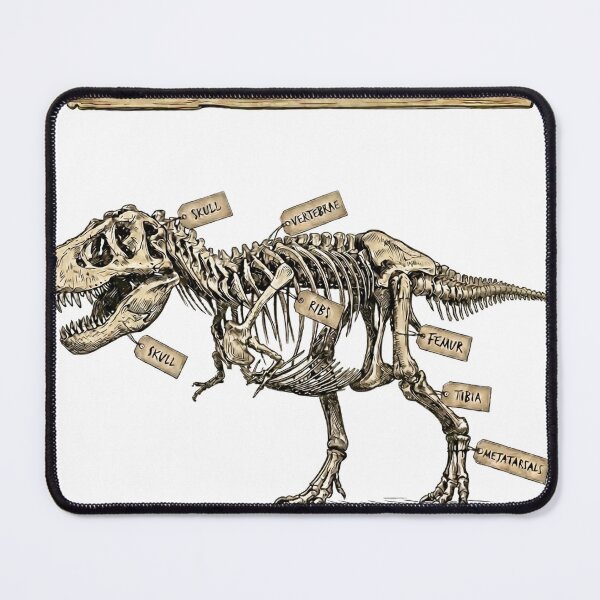 Item preview, Vintage Tyrannosaurus Rex Skeleton Anatomy Chart – Scientific Illustration designed and sold by GBDesigner.