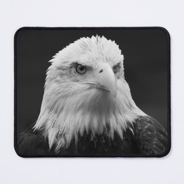 Item preview, Bald Eagle designed and sold by Monika's Shop.