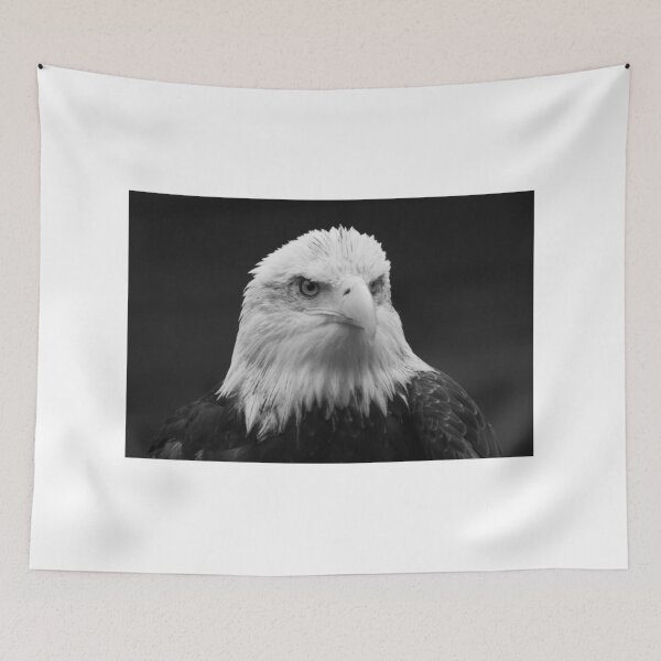 Item preview, Bald Eagle designed and sold by Monika's Shop.