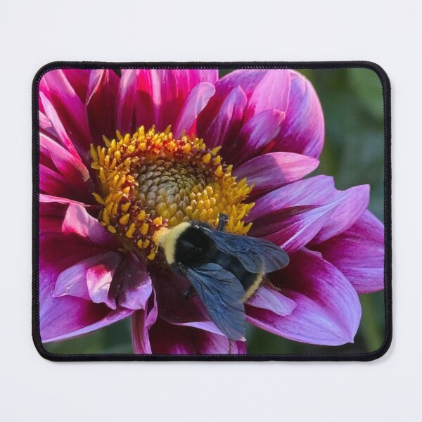 Item preview, Bee in flower designed and sold by Monika's Shop.