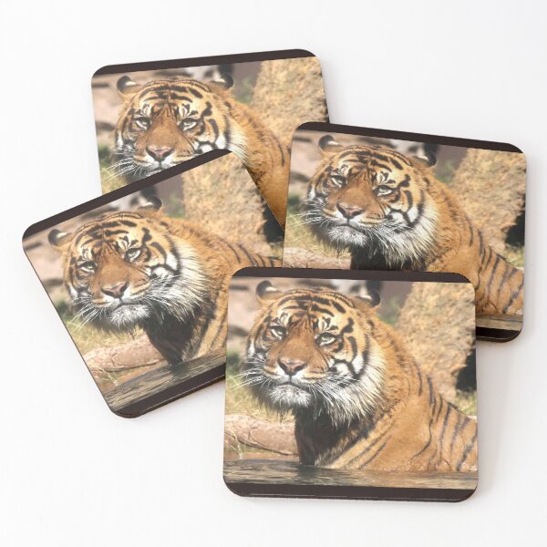 Item preview, Tiger in the water designed and sold by Monika's Shop.
