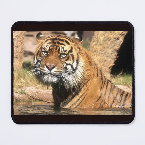 Item preview, Tiger in the water designed and sold by Monika's Shop.