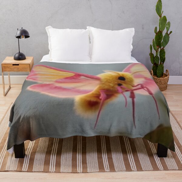 Item preview, rosy maple moth landing colorful insect animal design designed and sold by SmashingDeals.