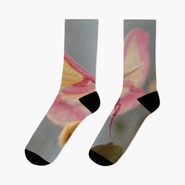 Item preview, rosy maple moth landing colorful insect animal design designed and sold by SmashingDeals.