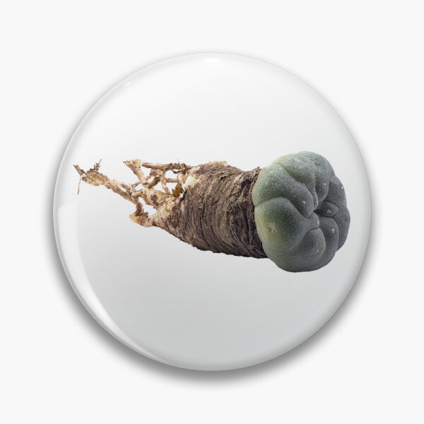 Item preview, Peyote (Lophophora williamsii) Desert Visions. designed and sold by Vainillaychile.