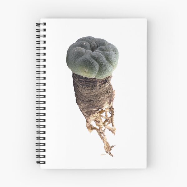 Item preview, Peyote (Lophophora williamsii) Desert Visions. designed and sold by Vainillaychile.