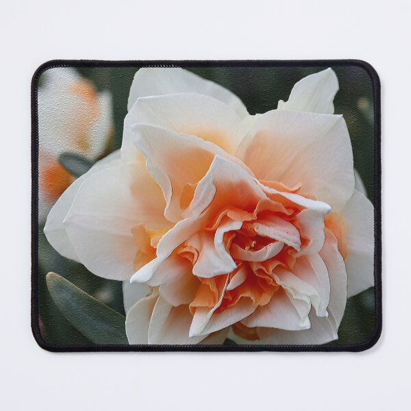 Item preview, Tulip 3D Impasto Appearance designed and sold by BostonArcImage.