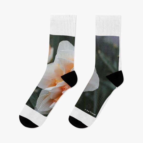 Item preview, Tulip 3D Impasto Appearance designed and sold by BostonArcImage.