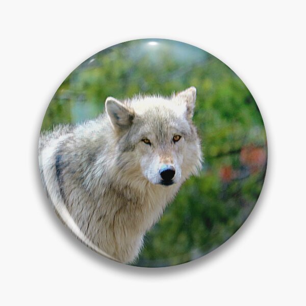 Item preview, Gray Wolf designed and sold by Steve Hunter.