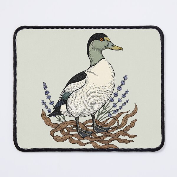 Item preview, Vintage Common Eider Duck Coastal Wildlife designed and sold by BirdsnStuff.