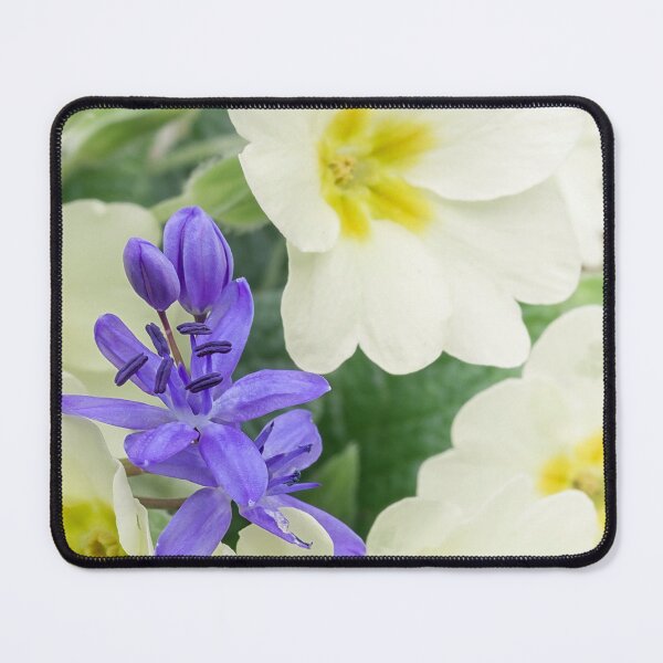 Item preview, Alpine Squill and Primrose – botanical dialogue designed and sold by Vainillaychile.