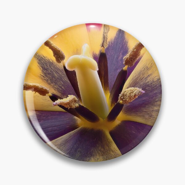 Item preview, Tulip – stamen detail on red and yellow petals designed and sold by Vainillaychile.