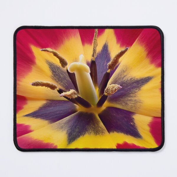 Item preview, Tulip – stamen detail on red and yellow petals designed and sold by Vainillaychile.