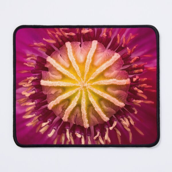 Item preview, Poppy – botanical detail on burgundy petals designed and sold by Vainillaychile.