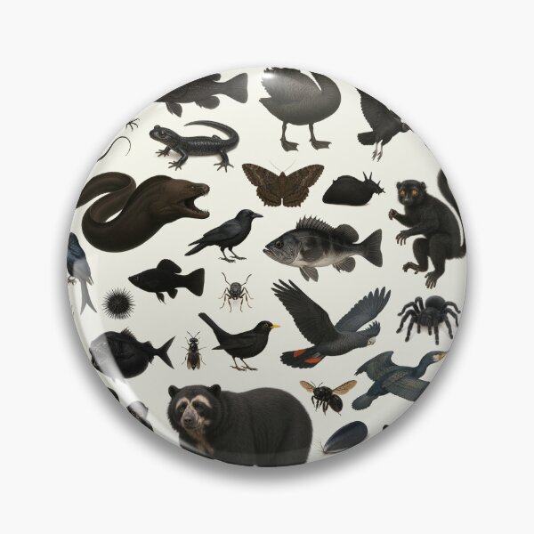Item preview, Wild World in Black Retro Animal Identification Chart designed and sold by kakarikihill.