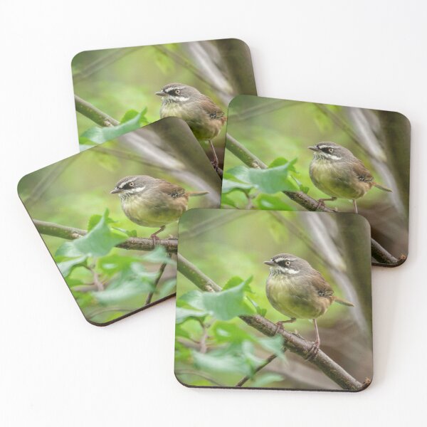 Item preview, White-browed Scrubwren designed and sold by D-GaP.