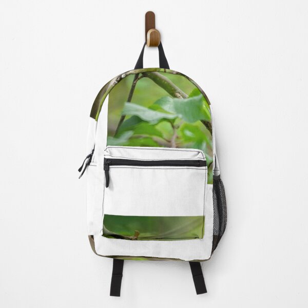 Item preview, White-browed Scrubwren designed and sold by D-GaP.