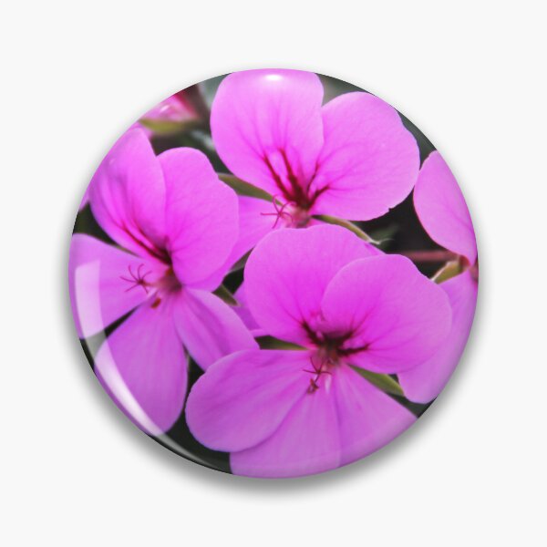 Item preview, Pretty Petals designed and sold by heatherfriedman.
