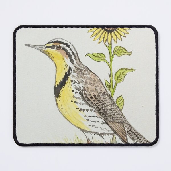 Item preview, Kansas state bird & flower, the western meadowlark & sunflower designed and sold by Matt Starr Fine Art .