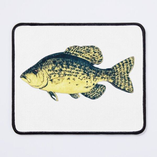 Item preview, Crappie fish  designed and sold by Matt Starr Fine Art .