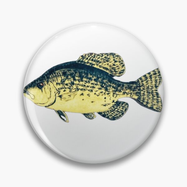 Artikelvorschau, Crappie-Fisch entworfen und verkauft von Matt Starr Fine Art .