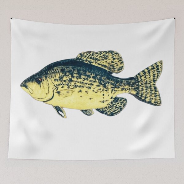 Item preview, Crappie fish  designed and sold by Matt Starr Fine Art .
