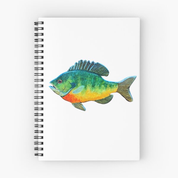 Item preview, Bluegill panfish designed and sold by Matt Starr Fine Art .
