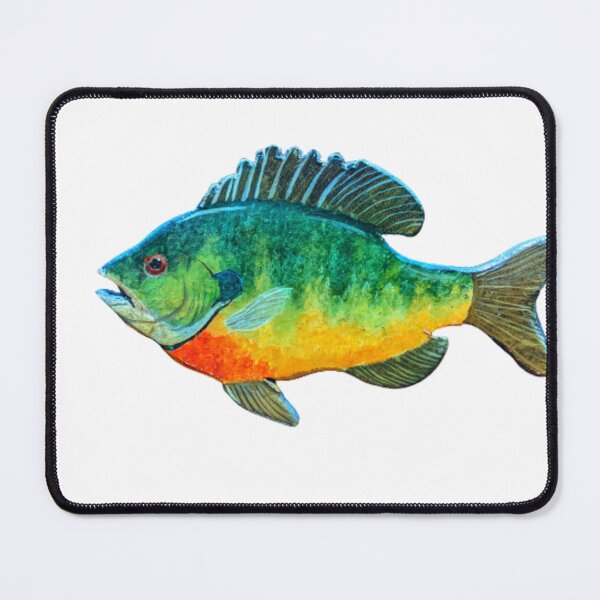 Item preview, Bluegill panfish designed and sold by Matt Starr Fine Art .